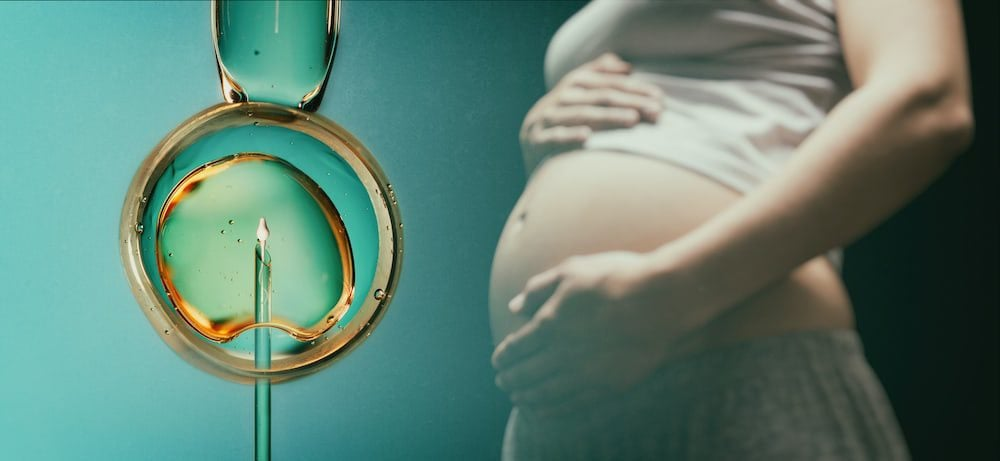 Embryo transfer illustration